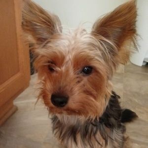 Meet your Posher, Anna